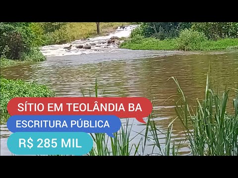 SÍTIO EM TEOLÂNDIA BA 6 HECTARES CÓDIGO: 0204 ZAP 73981663547 MARCIO