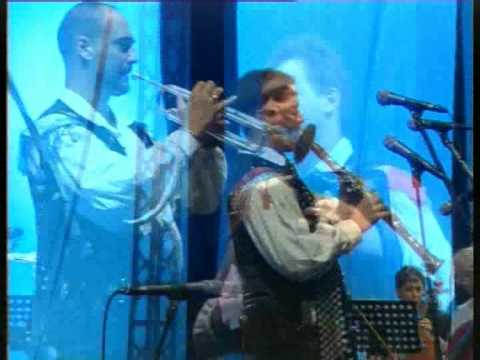 GREGORJI_Cvetoci lokvanj