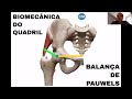 Conceitos essenciais para a Reabilitação do Quadril - Balança de Pauwels.