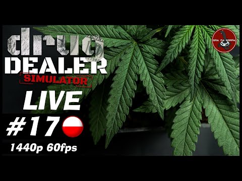 Załóżmy hurtownię maryni - GIVEAWAY | #17 | Drug Dealer Simulator | zapis LIVE