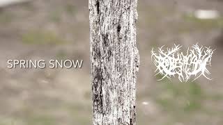 Music video thumbnail preview for Spring Snow by Robes of Snow