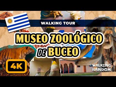Walking Tour por el Museo Zoológico Dámaso Larrañaga en Buceo | Montevideo, Uruguay 4k