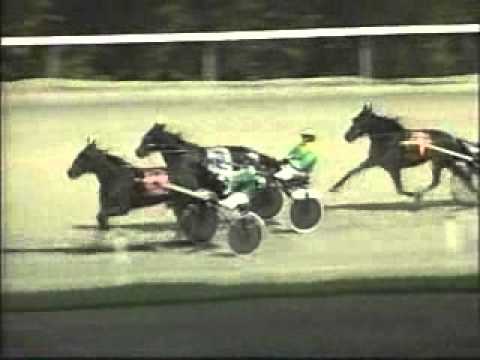 1996 Breeders Crown 2yo Filly Trot Armbro Prowess