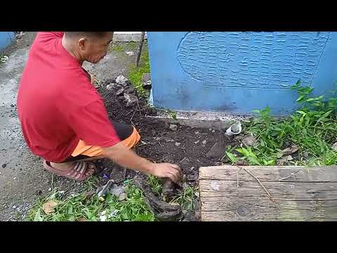 goodbye my ice cream..