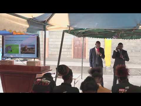 The World of The Heart -mindset class