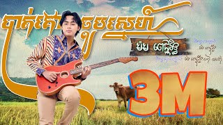 បាត់គោចួបស្នេហ៍ ដោយ ម៉ម ពេជ្ជរិទ្ធ (OFFICIAL LYRICS VIDEO)