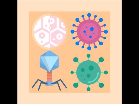 ImmunoGrid Puzzle Battle War