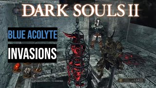 Blue Acolyte Invasions PvP 150 lvl