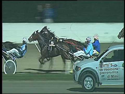 Trotto 06/11/2016 - 8ª corsa