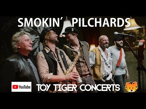 Smoking Pilchards @ Toy Tiger Concerts