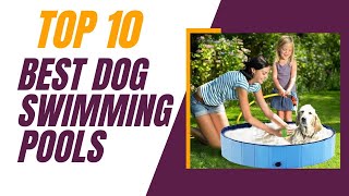 Top 10 Best Dog Swimming Pools In 2024 _ Swimming Pools