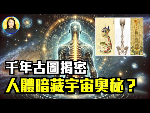 神的設計？人體結構竟然與宇宙呼應！修行者必看！人體與三界九地的神秘聯繫！人體內臟竟對應不同神祇！|#信不信由你