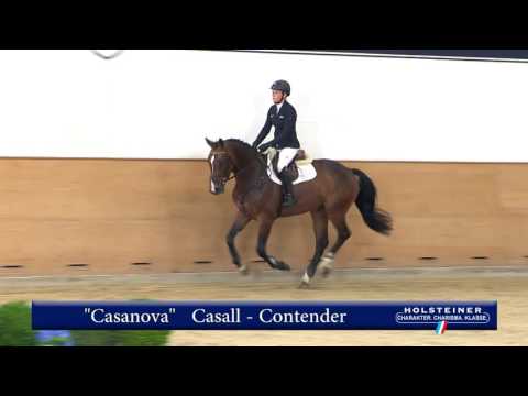 115. Casanova v. Casall - Contender