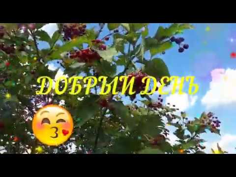 💥💥💥Добрый день!Доброе утро!Музыкальное пожелание.💥💥💥