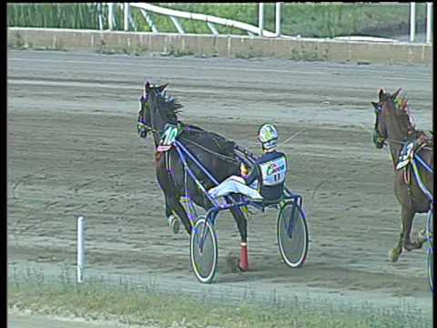 Trotto 21/05/2017 - 7ª corsa