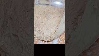 T65 밀가루 저염 홈베이킹 식빵