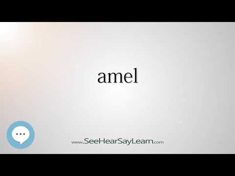 amel (Every English Word Pronounced) 📕🔊🗣️😎✅