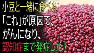 小豆と一緒に絶対に食べないでください！がんや認知症の原因になります！―小豆と最悪の組み合わせ3選と、慢性炎症と毒素を取り除く最強レシピ3選【小豆・あんこ・冬至・おしるこの効能・健康情報】