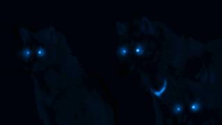 JaY Randle - Bank Account FreeStyle