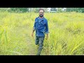 Kavaaliya Kunju Thamanna