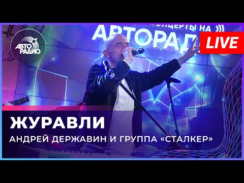 Андрей Державин - Журавли (LIVE@2022)