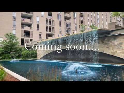 77 Pond Ave. Coming soon..