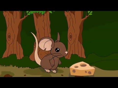 Mouse and cheese| Мыш и сыр