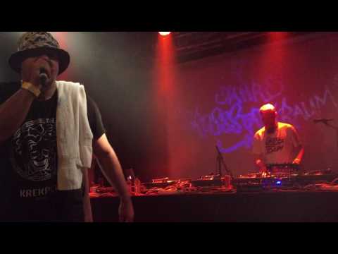 MC Rene - Mein Leben ist ein Freestyle (live @ Grossstattraum, Hamburg 2016)