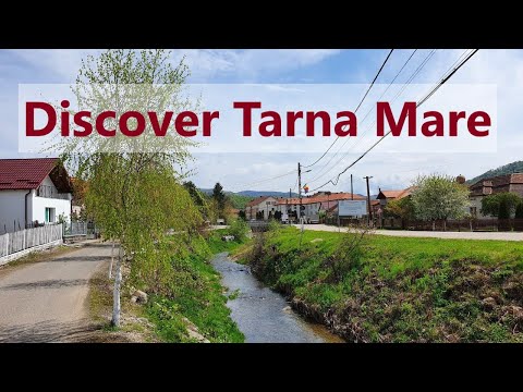 Tarna Mare 2022 review and impression