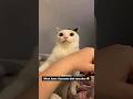He Betrayed Me