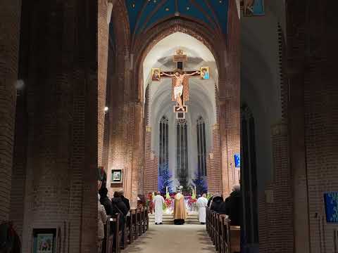 To był SZOK dla wszystkich obecnych! Potężne „Te Deum” w Kolegiacie kruszy mury