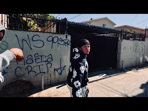 Welcome to W/S 99 Mafia Crips (Official Documentary)