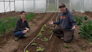 They DESTROYED our GREENHOUSE Last Year!! So THIS Year we have a FEW TRICKS up Our SLEEVES