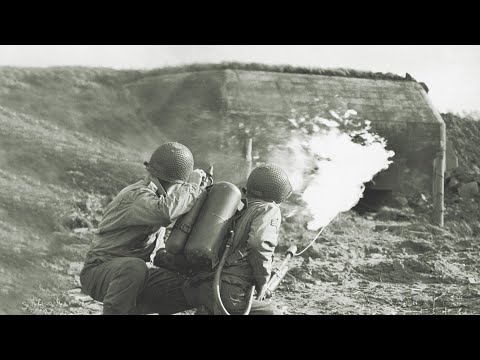 Japanese Were Traumatized When 11000 Japanese Troops Were Killed by America in Battle of Peleliu