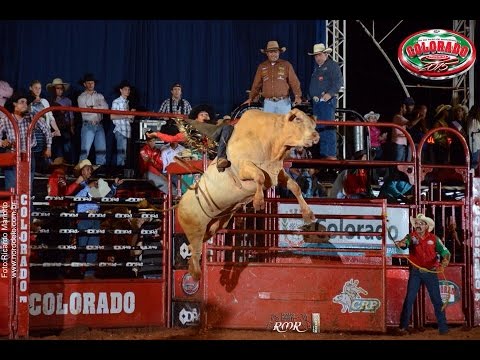 Minuto do Rodeio 35: 41ª Festa do Peão de Colorado 2015 - Round II