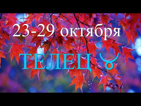 ТЕЛЕЦ ♉️23-29 октября.