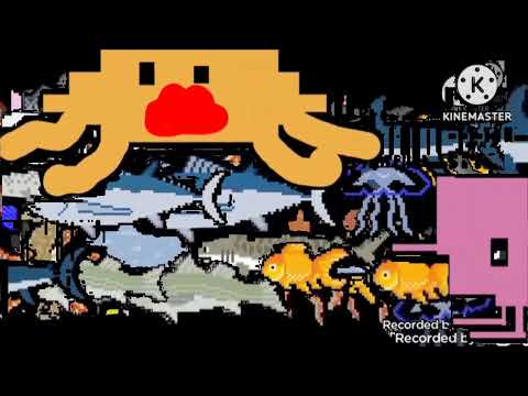 sea animals collection coral reef the kids picture show