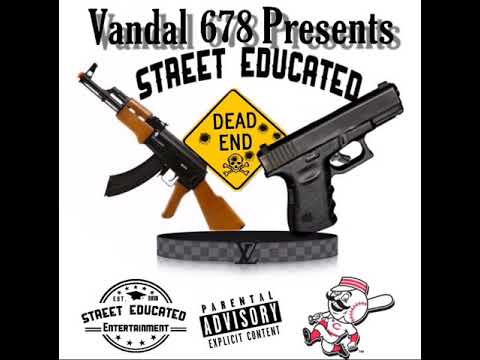 Vandal 678 - Street Educated