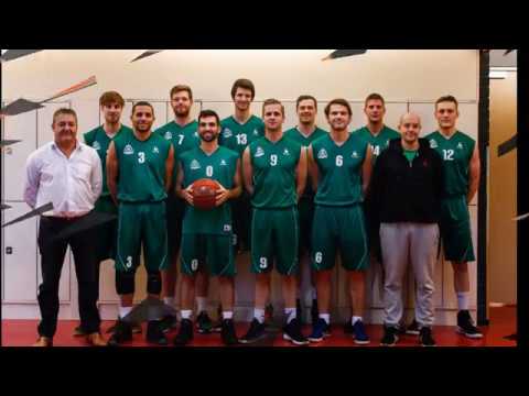 Groene Uilen   Punch