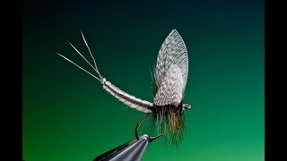 Tying extended mayfly body tutorial with Barry Ord Clarke