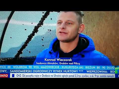 Hodowla Ślimaków Wieczorek - Agrobiznes