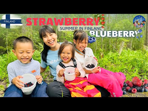 100 🇫🇮 Summer in Finland Go to Pick Blueberries & Strawberries to Drink or Sell