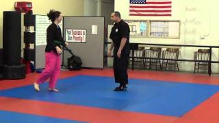 preview picture of video 'Success Martial Arts, Twin Falls Karate - Level 3 Dan Aikido module reminder'