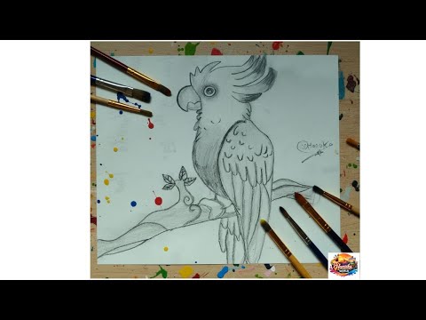 Beautiful Bird Painting | Colorful Nature Art 🐦🎨 | Hansika World