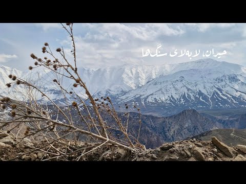 به سوی تو می‌دویدم یا تو به سوی من می‌آمدی/ I was running to you or you were coming to me