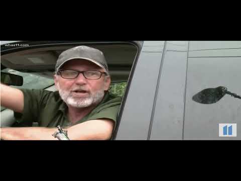 Tiger Tales: Tim Stark Makes The News