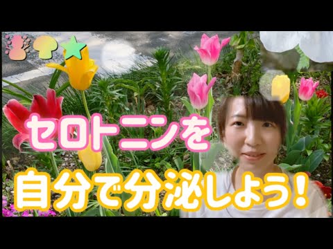 セロトニンを自然に増やす方法 – 6 つのヒント