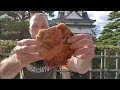Japanese Fried Chicken Mukbang