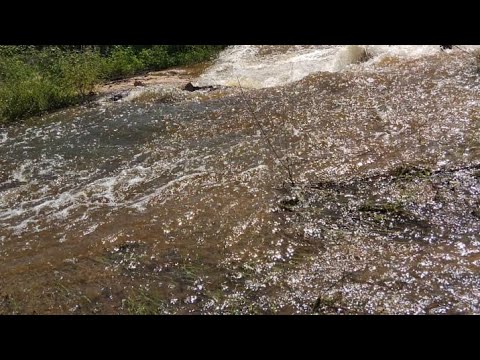 Um Espetáculo da Natureza nordestina 