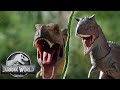 Jurassic World: Camp Cretaceous | Toro VERSUS T. Rex | @MattelAction